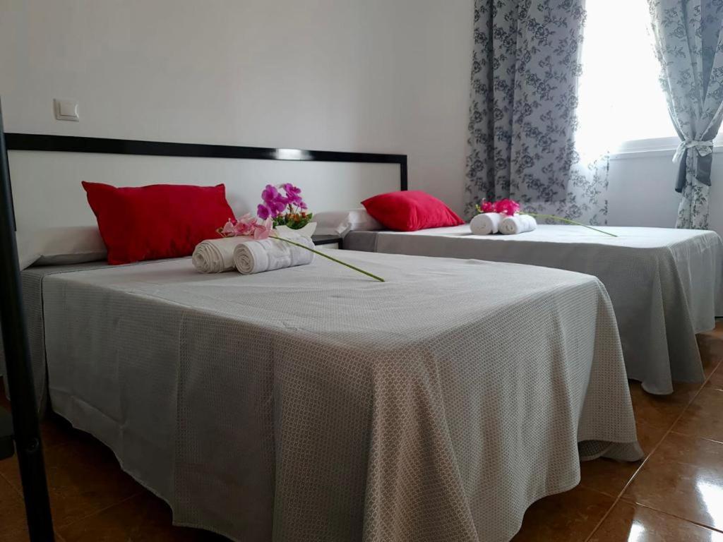 Franmay Apartments - 7 Modern Apartments Near The Beach & City, Perfect For Nomads, Travellers, Families, Watersports! Santa Maria Buitenkant foto