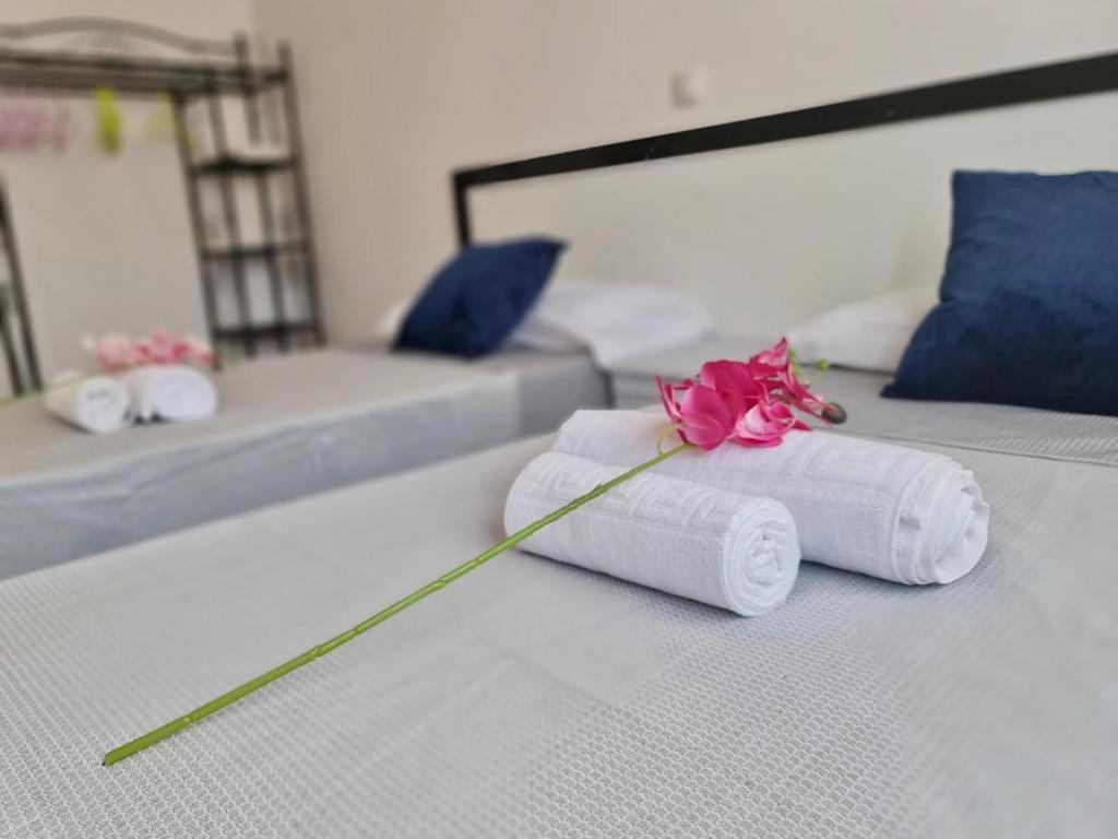 Franmay Apartments - 7 Modern Apartments Near The Beach & City, Perfect For Nomads, Travellers, Families, Watersports! Santa Maria Buitenkant foto